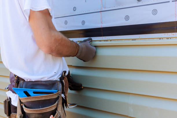 Custom Trim and Detailing for Siding in Somonauk, IL